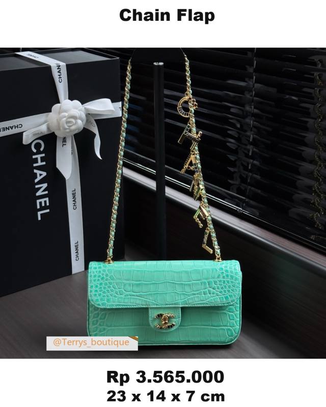 Chanel Chain Flap 23 x 14 x 7 8246