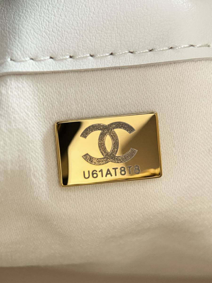 Chanel Chanel 25 Bag 30 x 26 x 14 25F0