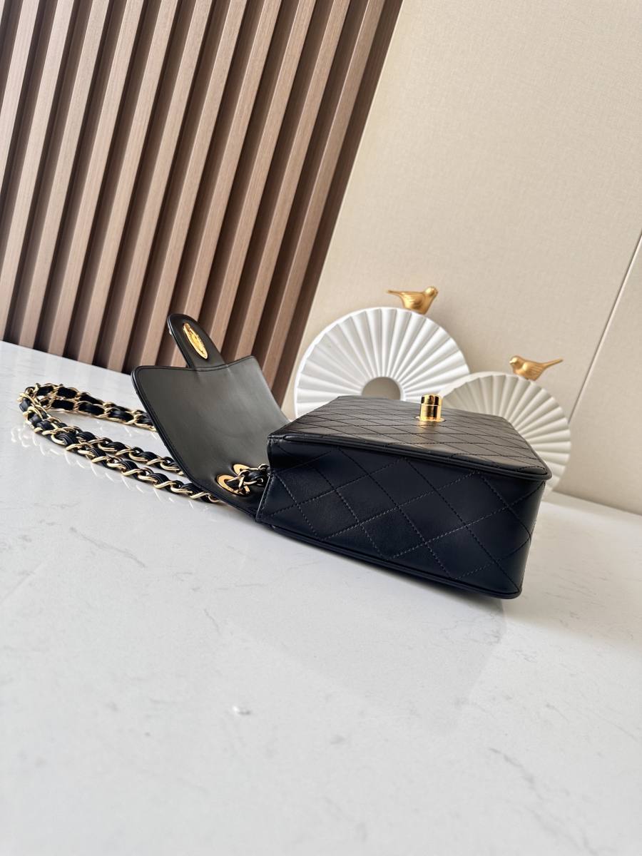 Chanel Classic Flap 25.5 x 16 x 7 0096