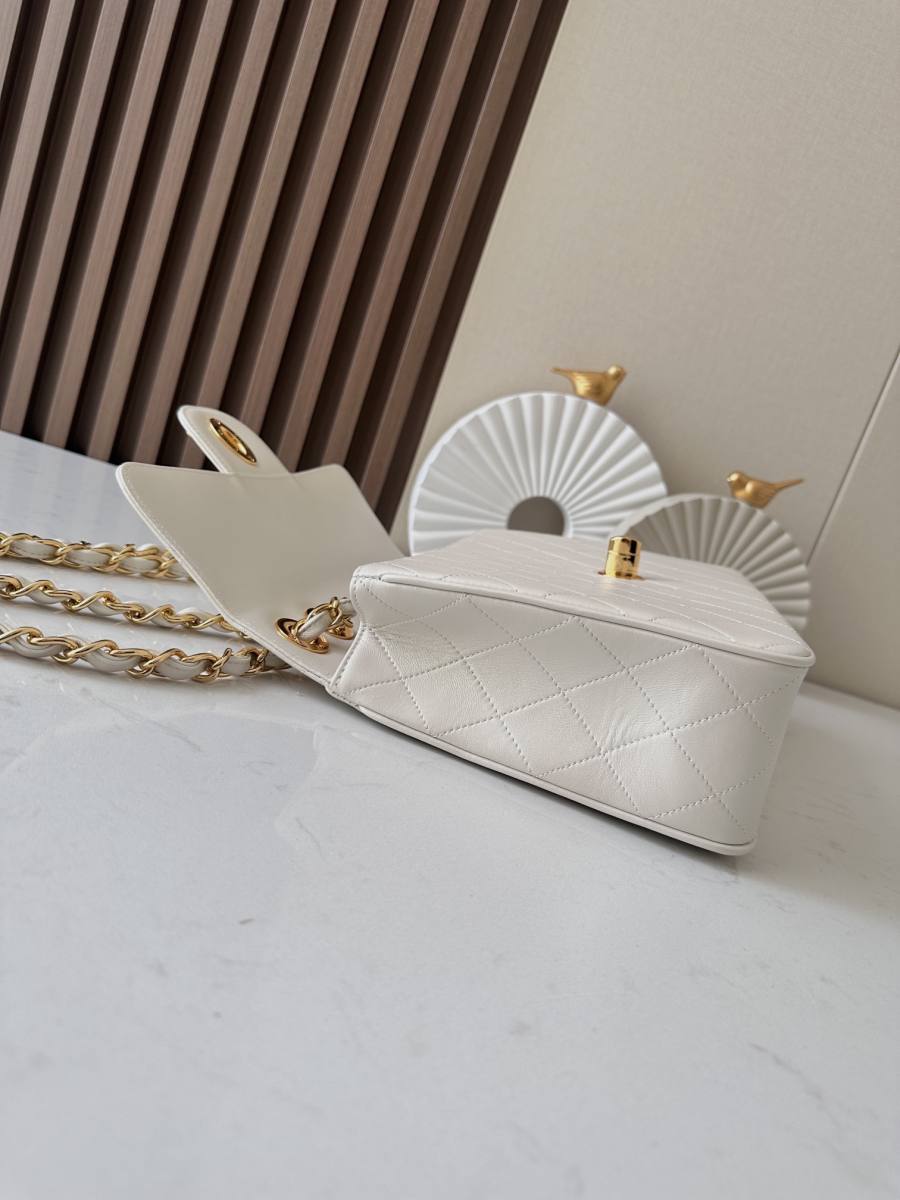 Chanel Classic Flap 25.5 x 16 x 7 2920