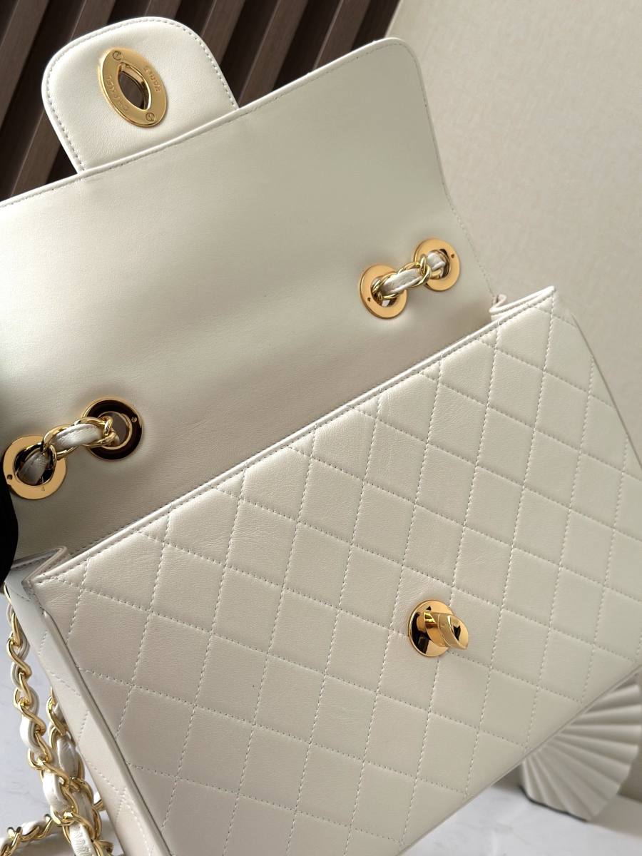 Chanel Classic Flap 25.5 x 16 x 7 2920