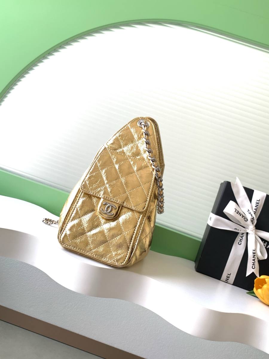 Chanel Hippie Hobo Mini 20 x 16 x 8 E12A