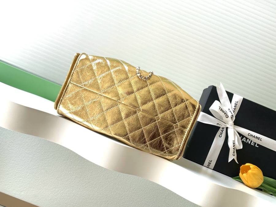 Chanel Hippie Hobo Mini 20 x 16 x 8 E12A