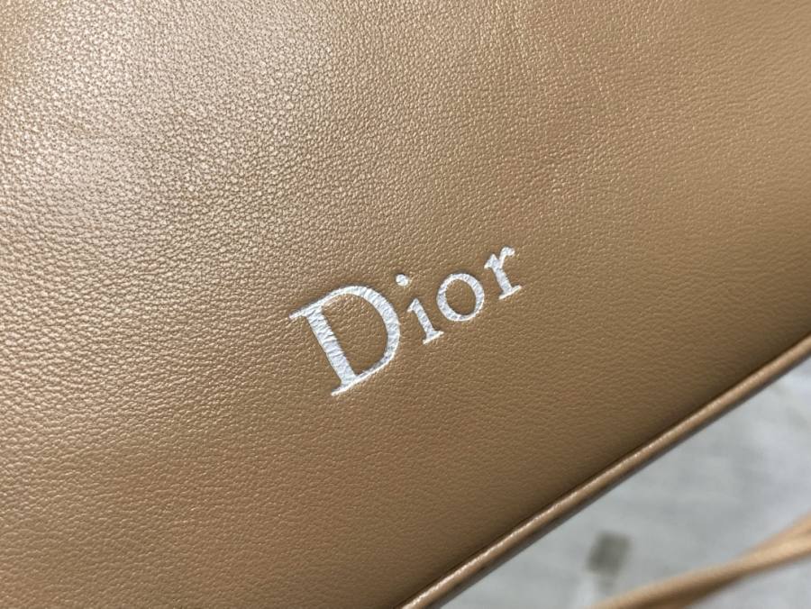 RP 2836000 Dior Bow Bag Clutch Lambskin 4B4F Clutch 24x14x10