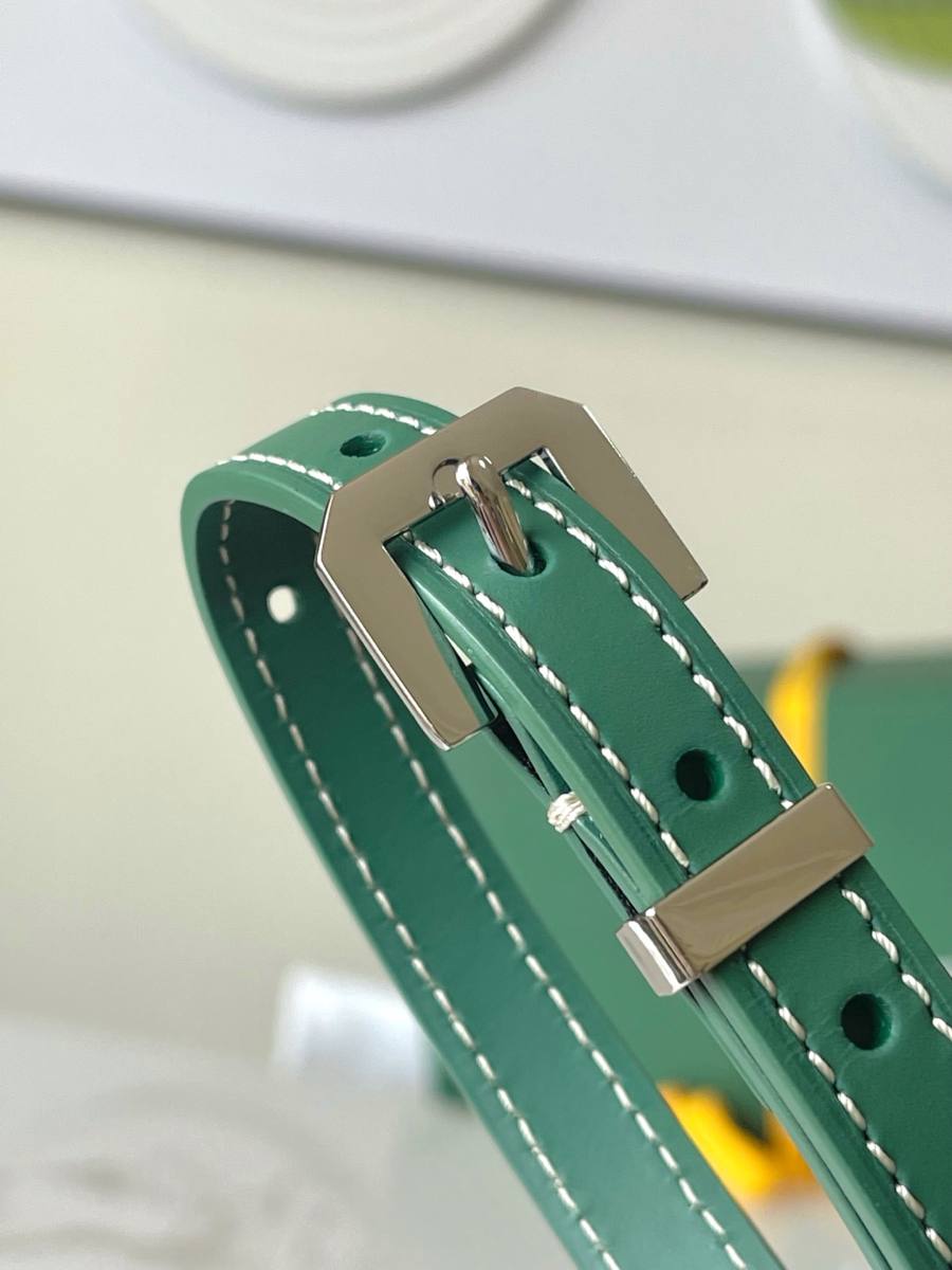 RP 2566000 Goyard Cap-Vert Camera Bag 18x13x8 2CE4