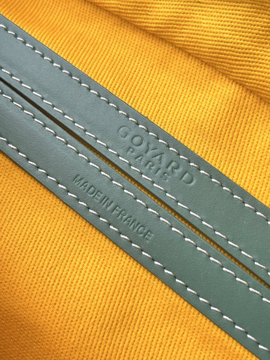 RP 2566000 Goyard Cap-Vert Camera Bag 18x13x8 2CE4