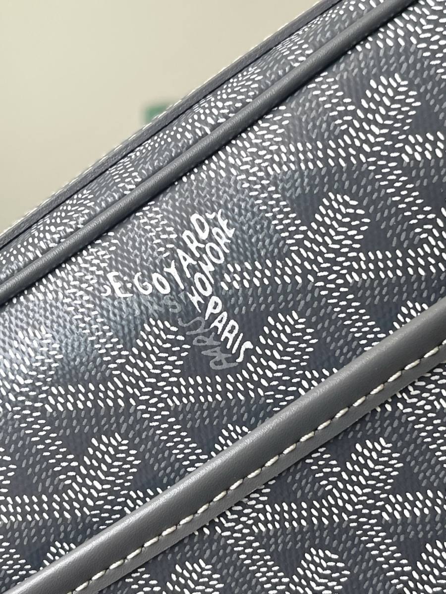 RP 2566000 Goyard Cap-Vert Camera Bag 18x13x8 7459