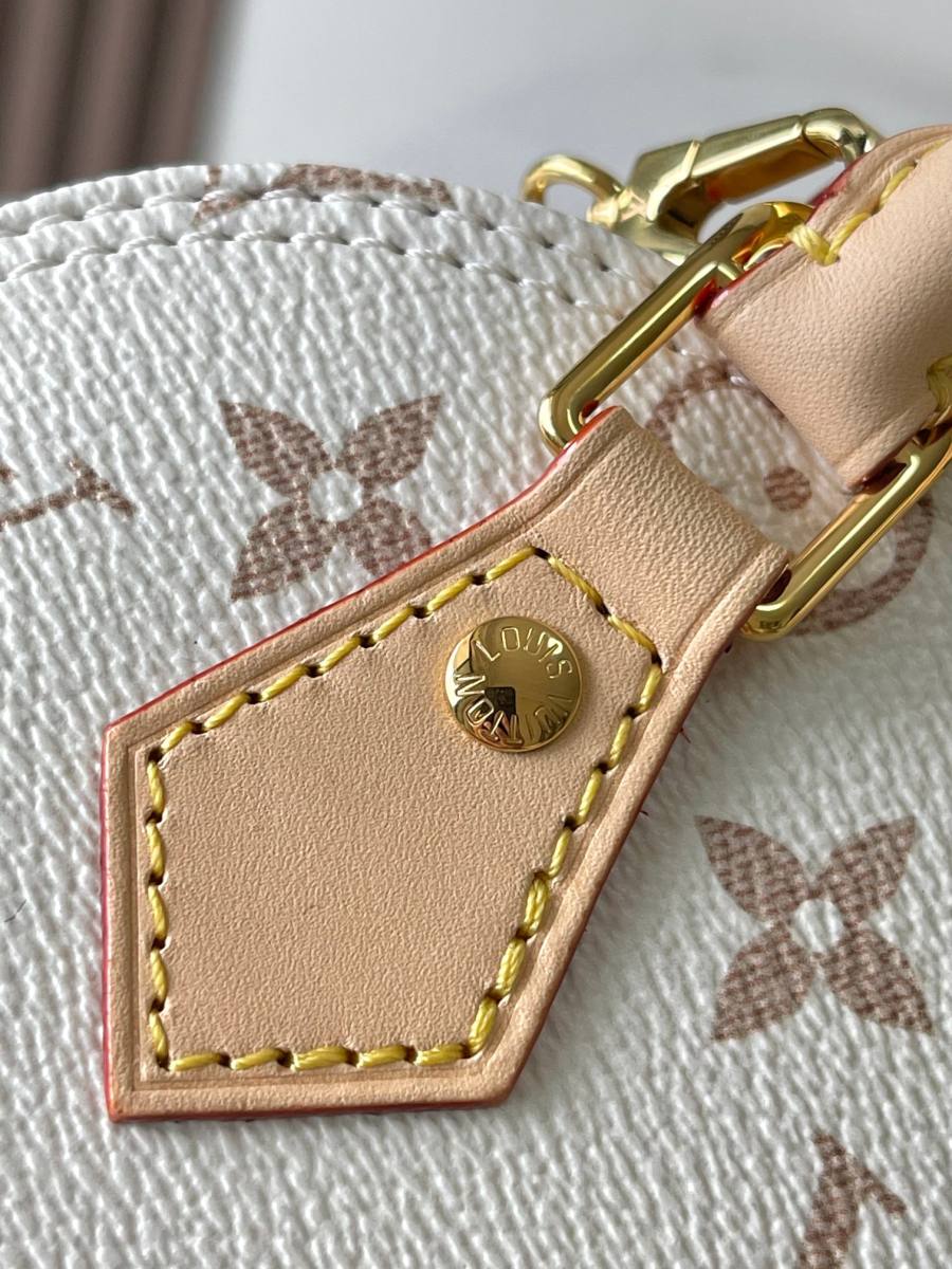 Louis Vuitton Alma M25529 18 x 12 x 8 BF16