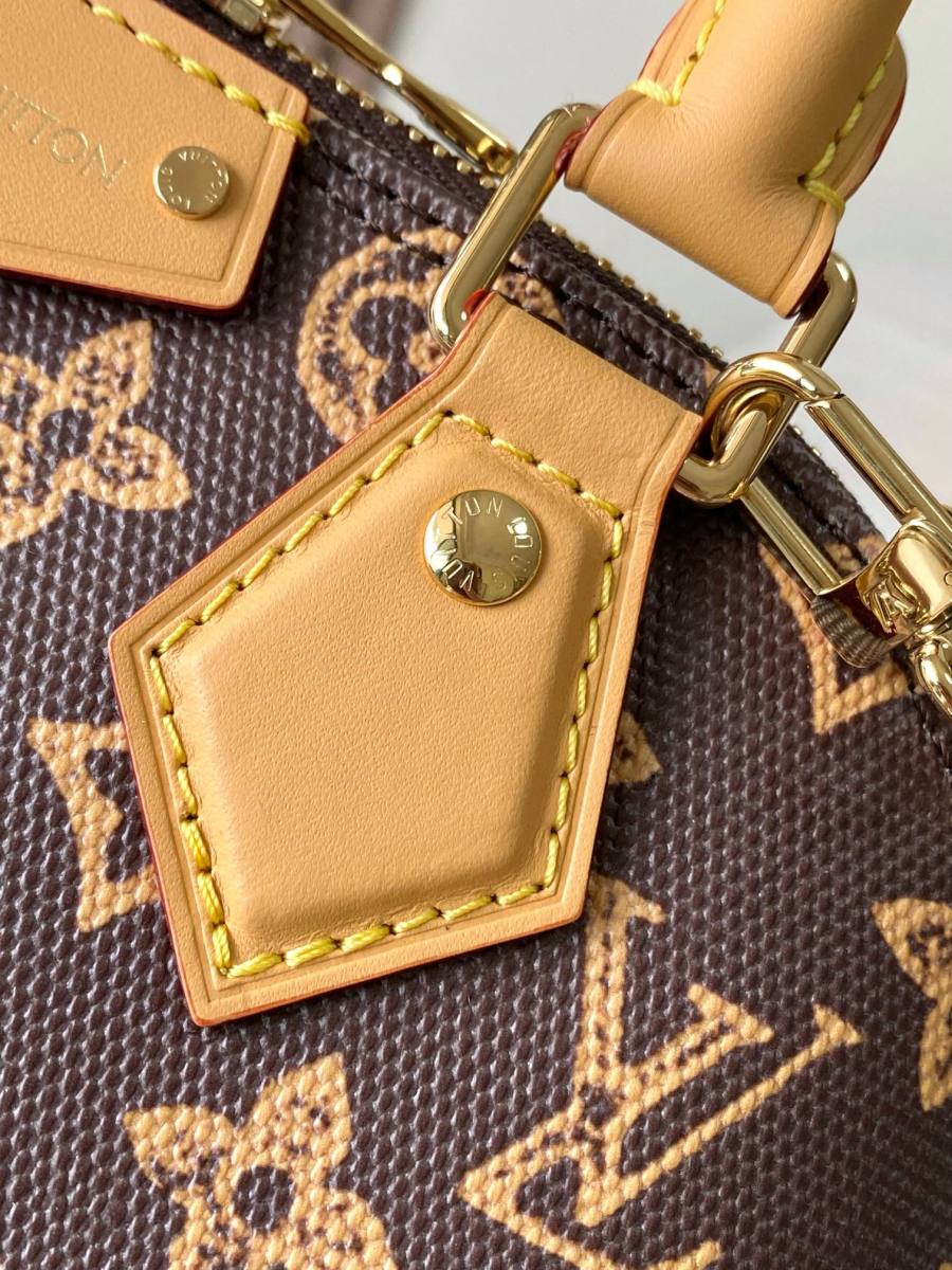 Louis Vuitton Alma Trunk BB M28105 22 x 19 x 11 0005