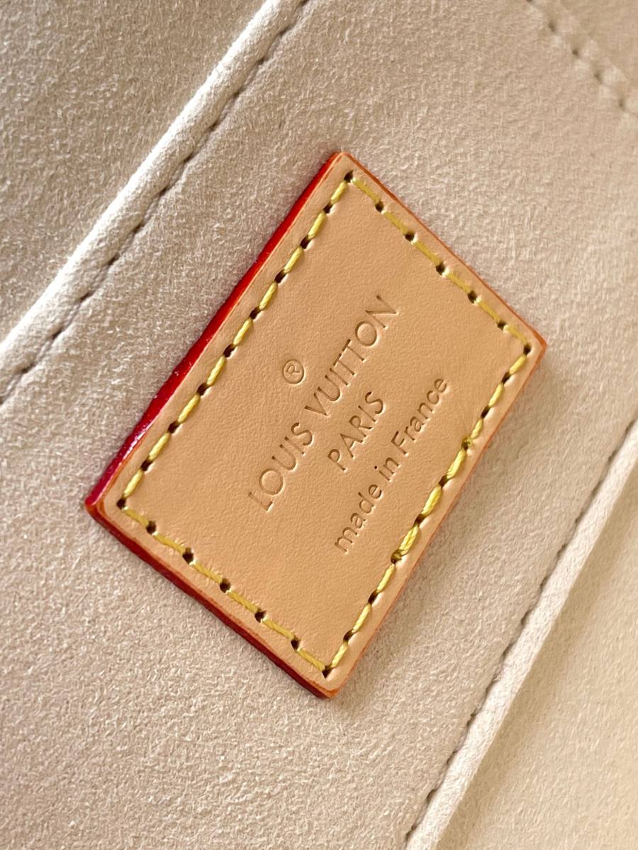Louis Vuitton Dauphine Mini 54F9