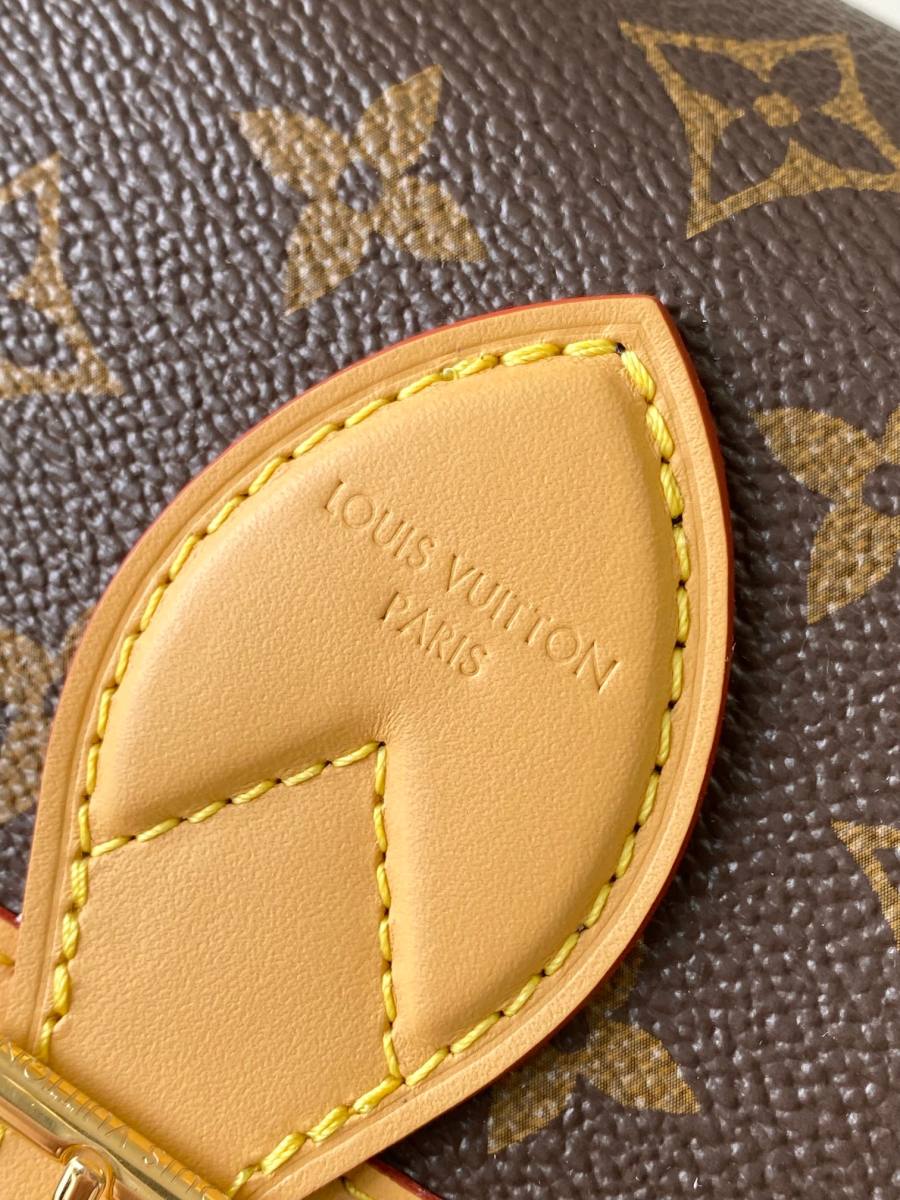 Louis Vuitton Diane M13035 24 x 15 x 9 0C39