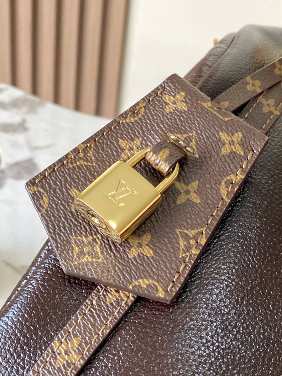 Louis Vuitton Express MM M26359 36 x 24 x 18.5 C7C4