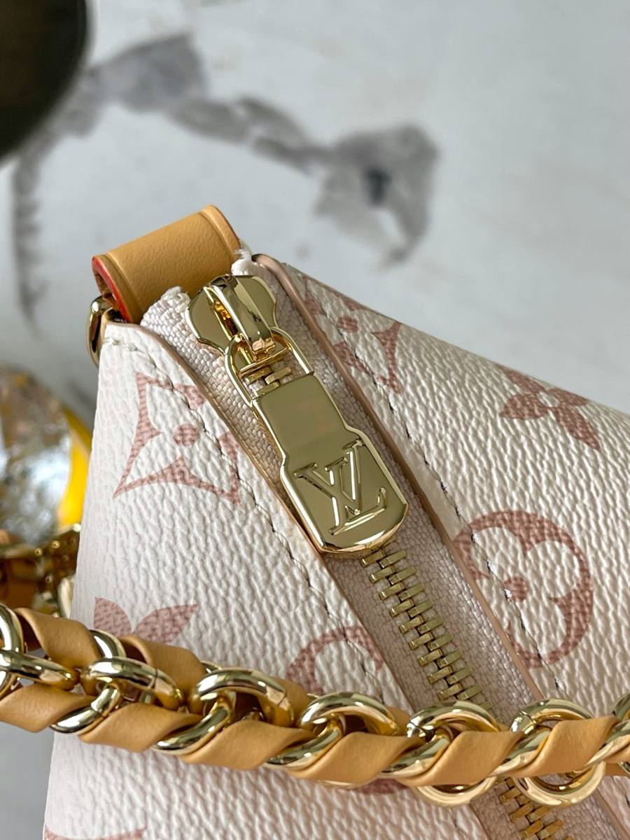 Louis Vuitton Multipass M2A078 30 x 26 x 10 Monogram White 7A40