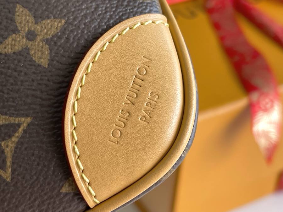 Louis Vuitton Nano Boulogne M25519 19 x 13 x 8 Monogram 4D3C
