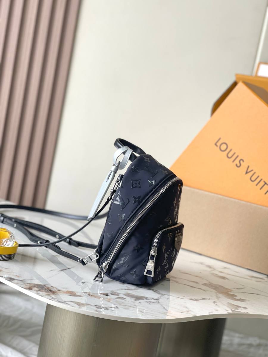 Louis Vuitton Palm Springs Mini M11780 17 x 22 x 10 Black C880