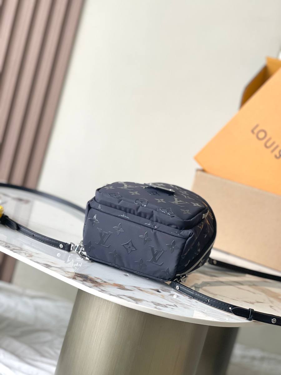 Louis Vuitton Palm Springs Mini M11780 17 x 22 x 10 Black C880