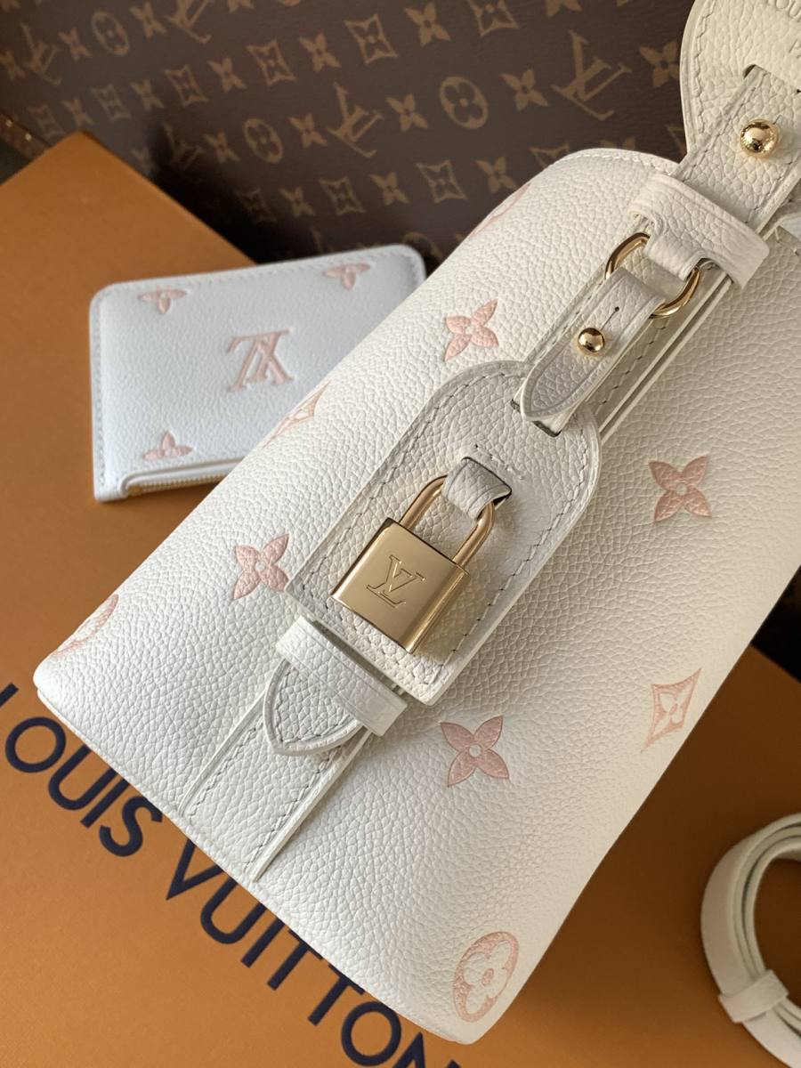 Louis Vuitton All In BB M28315 20 x 13 x 8 B1DE