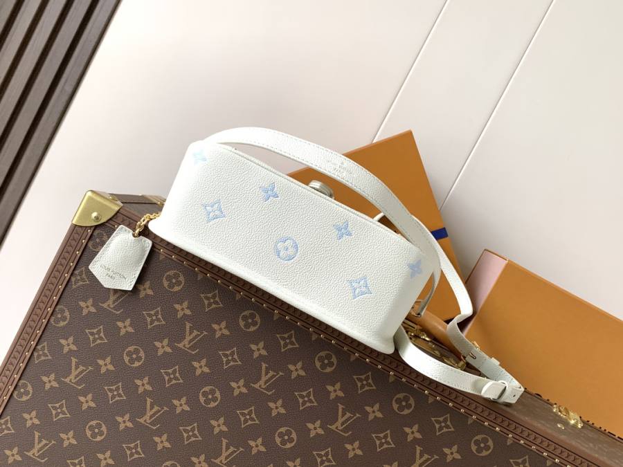 Louis Vuitton Diane M28054 24 x 17 x 8 BE1D