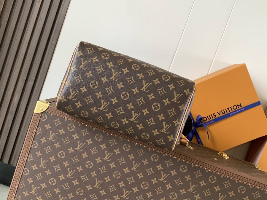 Louis Vuitton Handbag M15107 0B0B