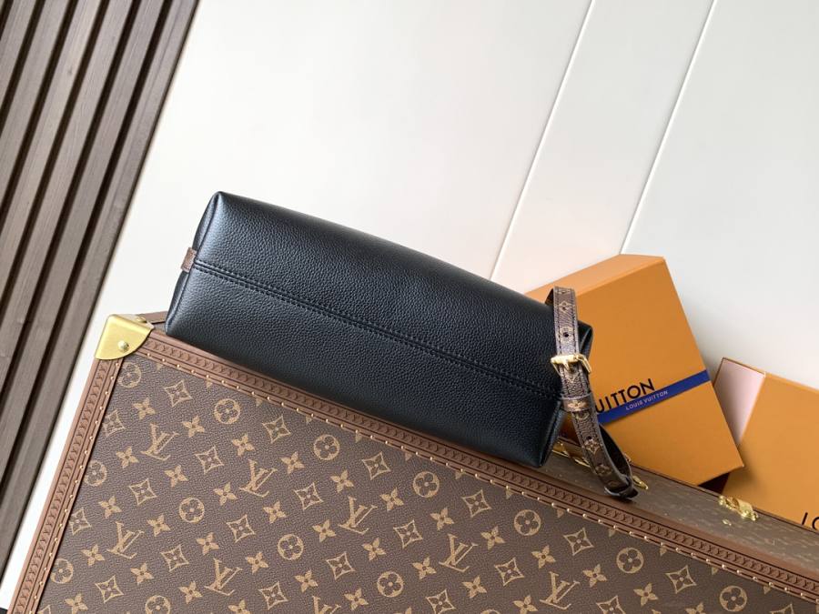 Louis Vuitton Multipass M29094 22 x 15 x 8 C075