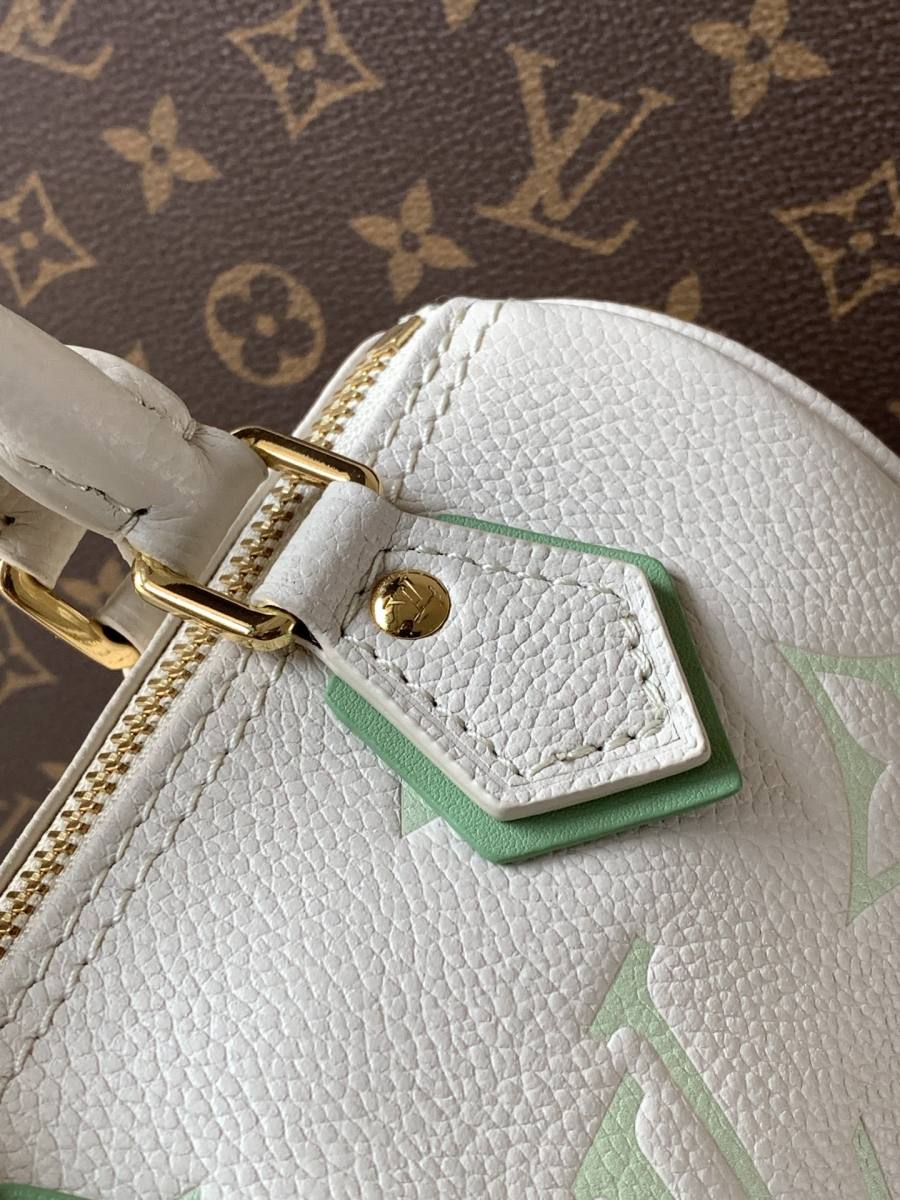Louis Vuitton Nano Madeleine M81913 16 x 11 x 7 F4B4