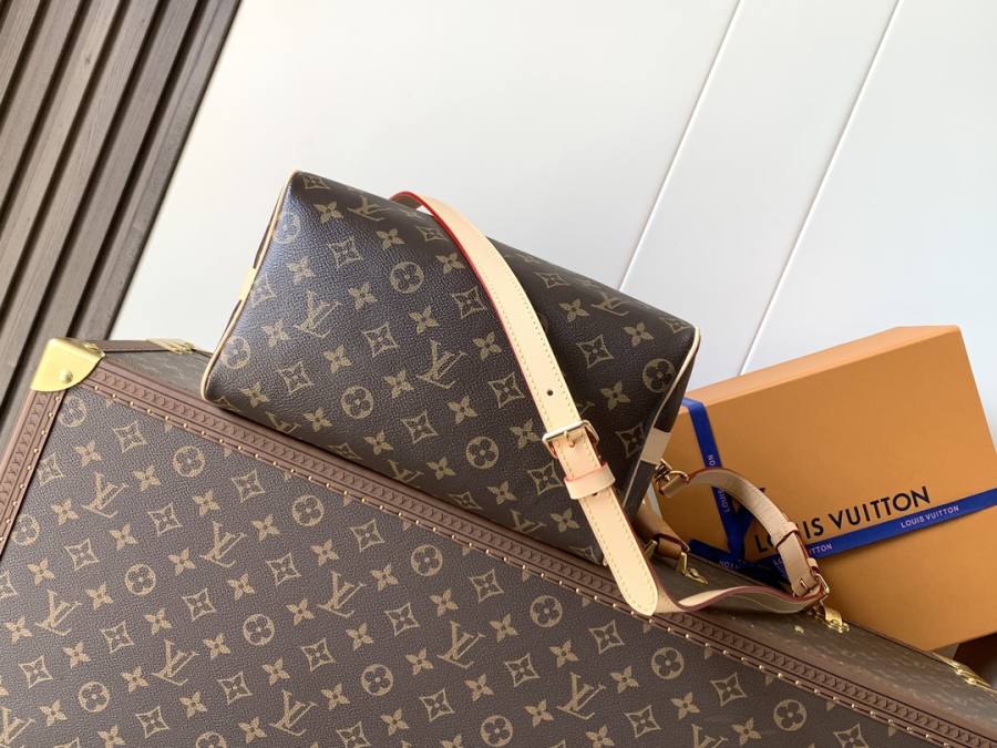 Louis Vuitton Speedy 25 M46977 Speedy 2 25 x 19 x 15 7A15