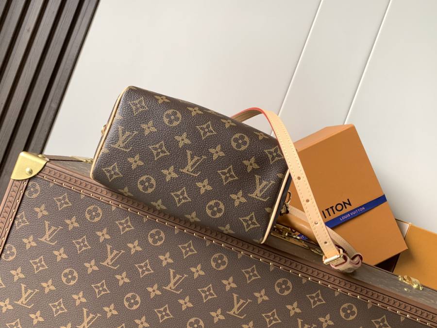 Louis Vuitton Speedy Bandoulière 20 M46234 20.5 x 13.5 x 12 8249