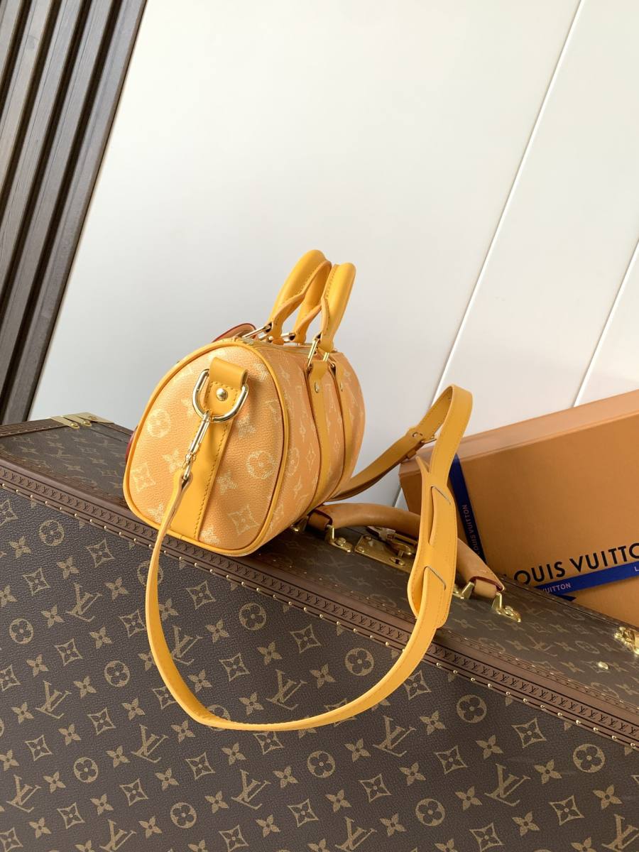 Louis Vuitton Speedy Bandoulière 25 M13166 25 x 19 x 15 5079
