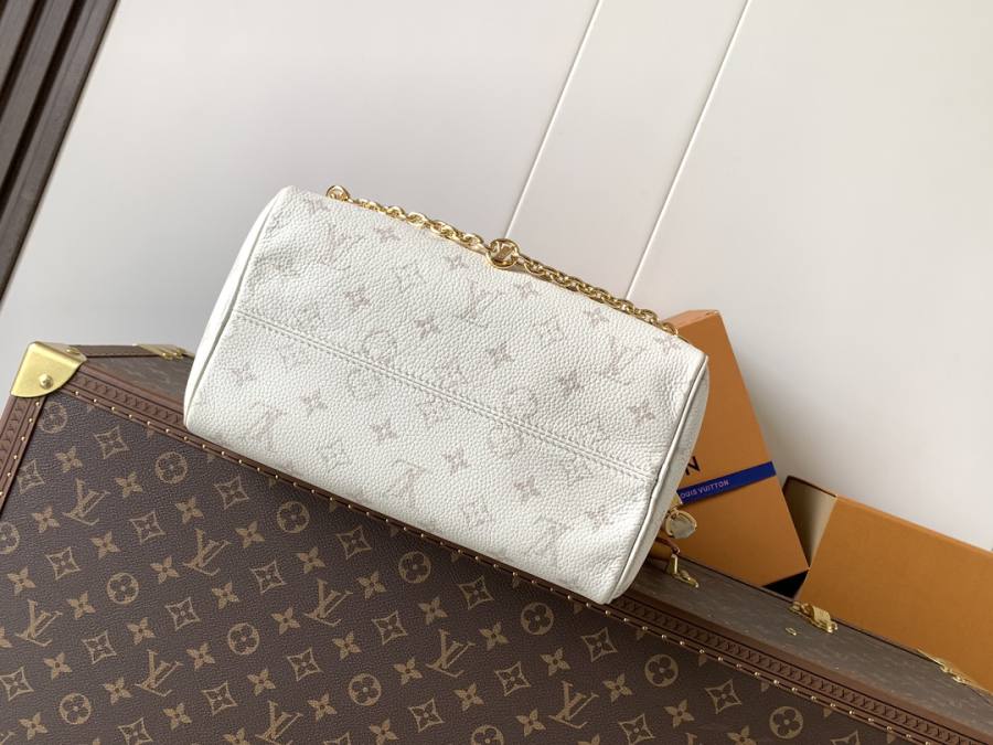 Louis Vuitton Speedy Bandoulière 25 M26690 25 x 19 x 15 B8D3