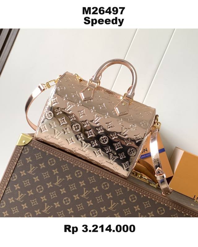 Louis Vuitton Speedy M26497 LV AE1C