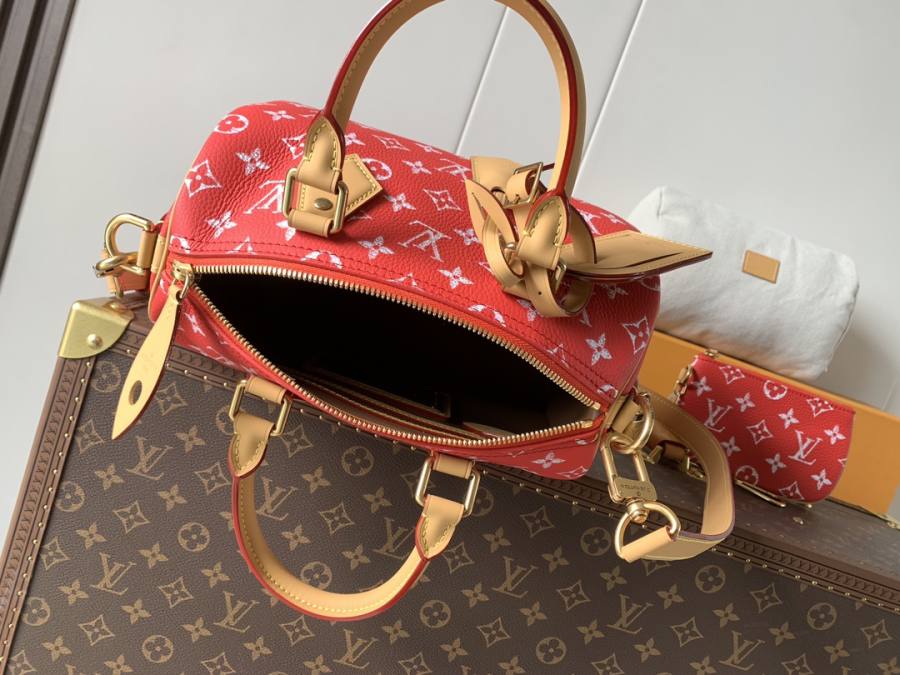 Louis Vuitton Speedy P109 Bandoulière 40 M13911 40 x 26 x 23 DCF2