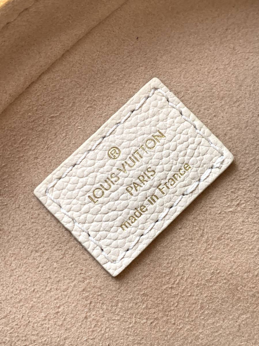 Louis Vuitton Tiny Camera Bag M26509 13 x 10 x 6 A6D3